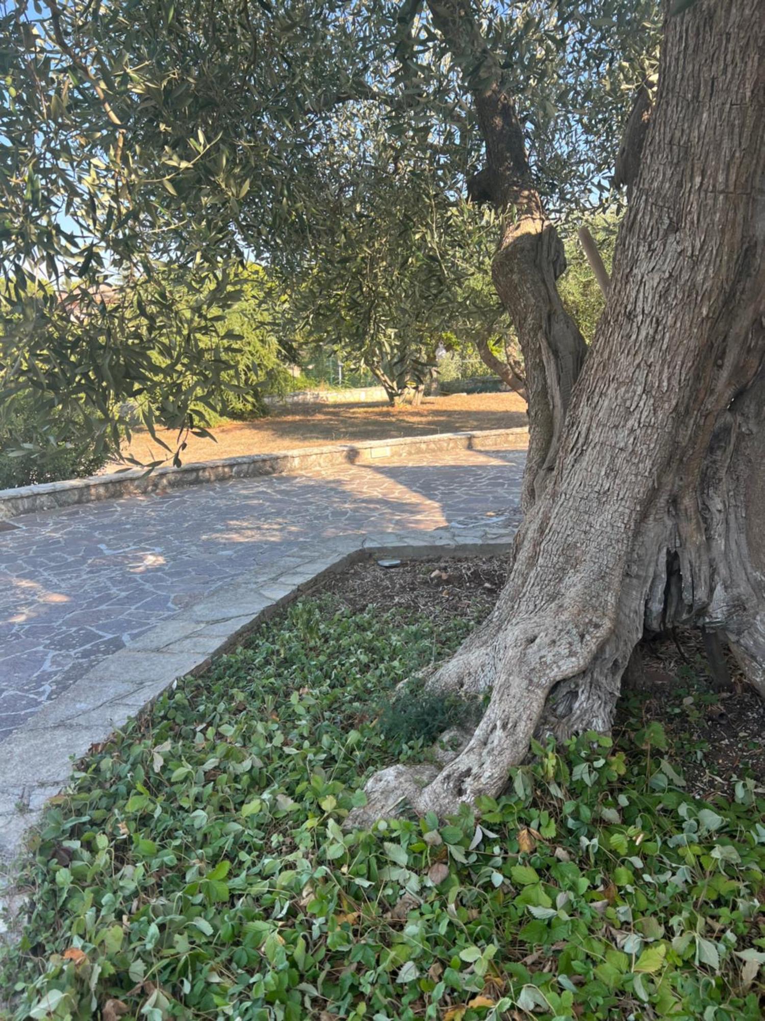 I Trulli Di Eva Noci Exterior foto